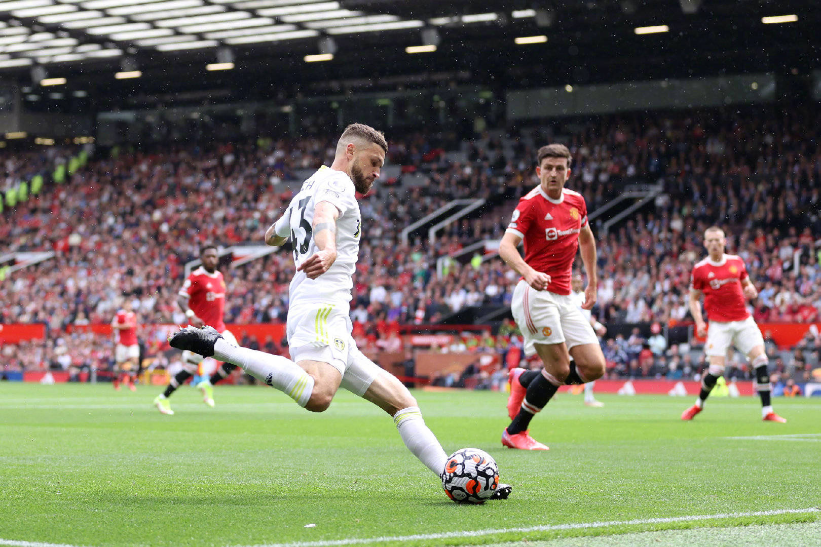 场引入知名 场引入知名