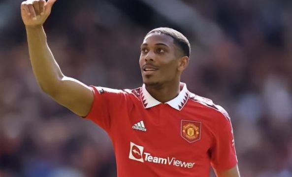 提供了激动 提供了激动